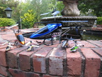 IMG 0031