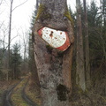 NaturGewinnt