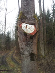 NaturGewinnt